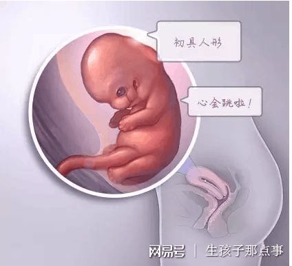 一般不妊検査・タイミング療法